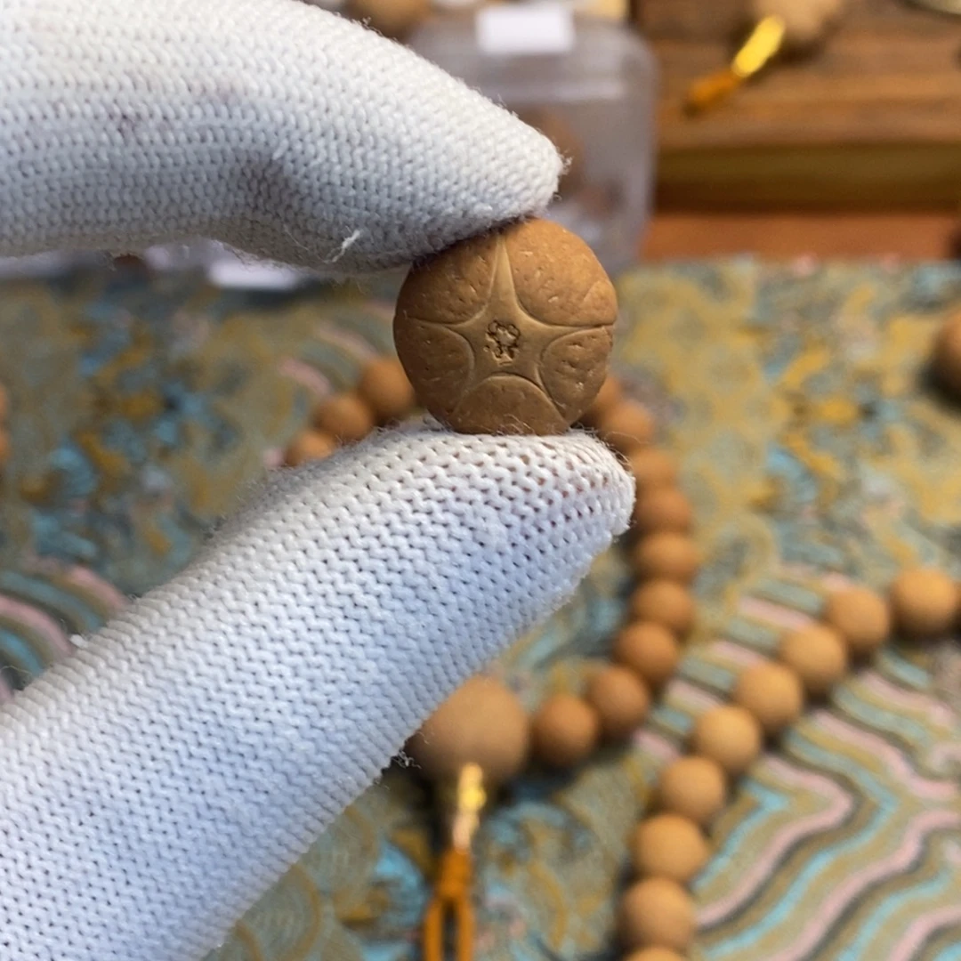 凤眼菩提吊坠15.9五星单颗