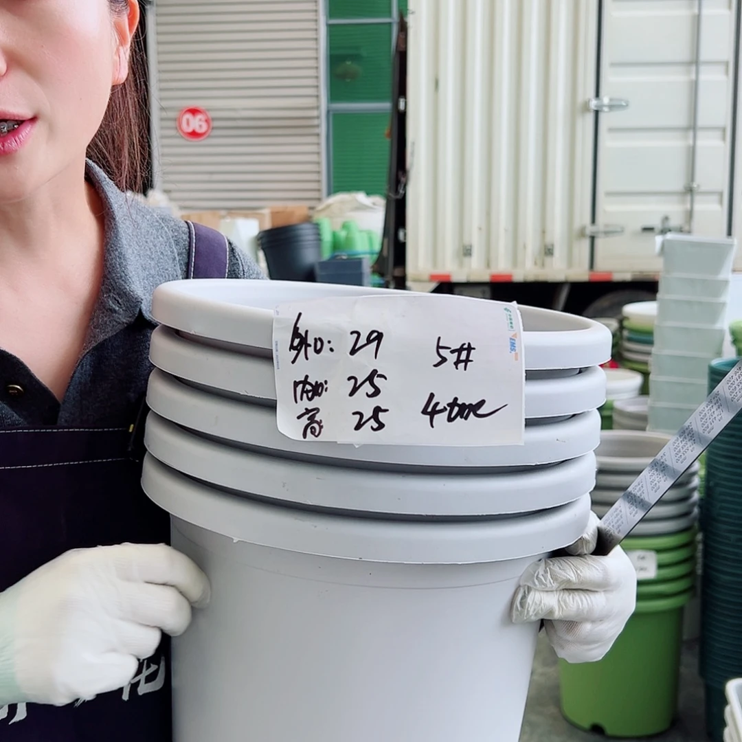 四季盆5#灰白6个无托