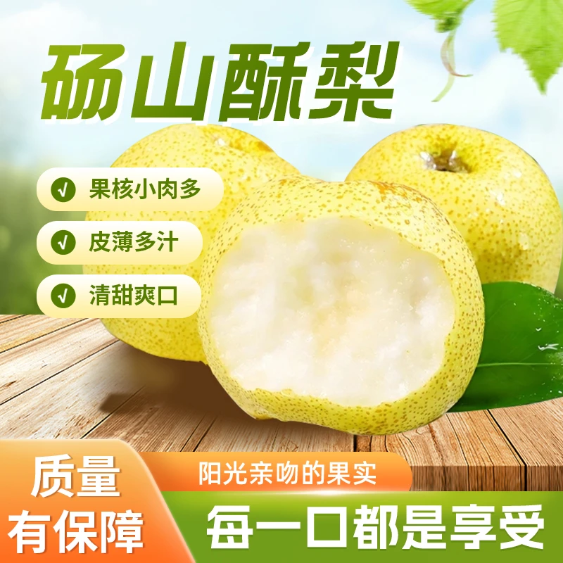 大果250g-400g正宗砀山酥梨新鲜采摘皮薄多汁爆甜脆香的当季水果
