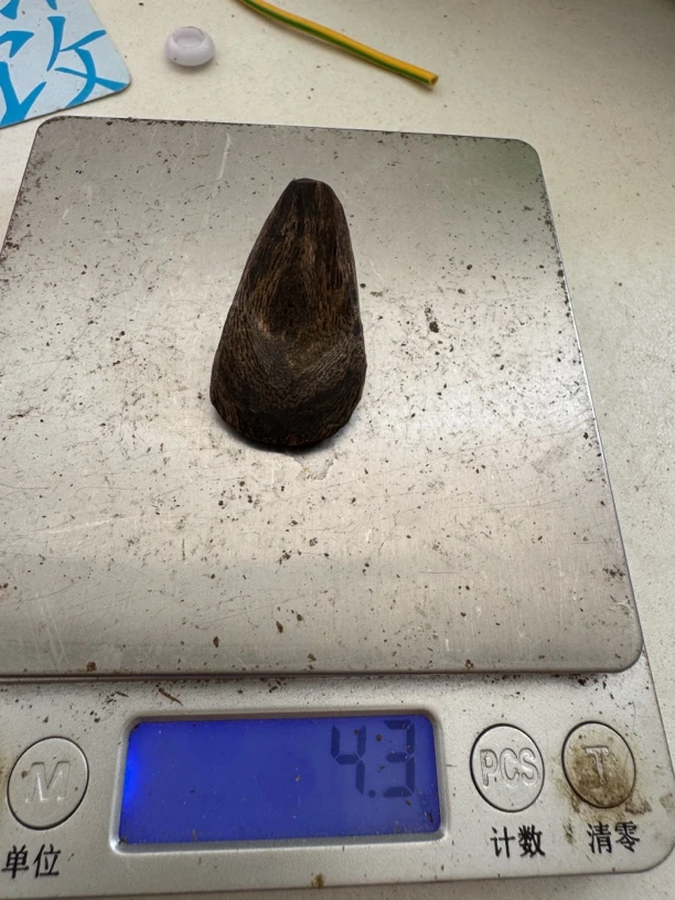 棋楠沉水树丁，正品