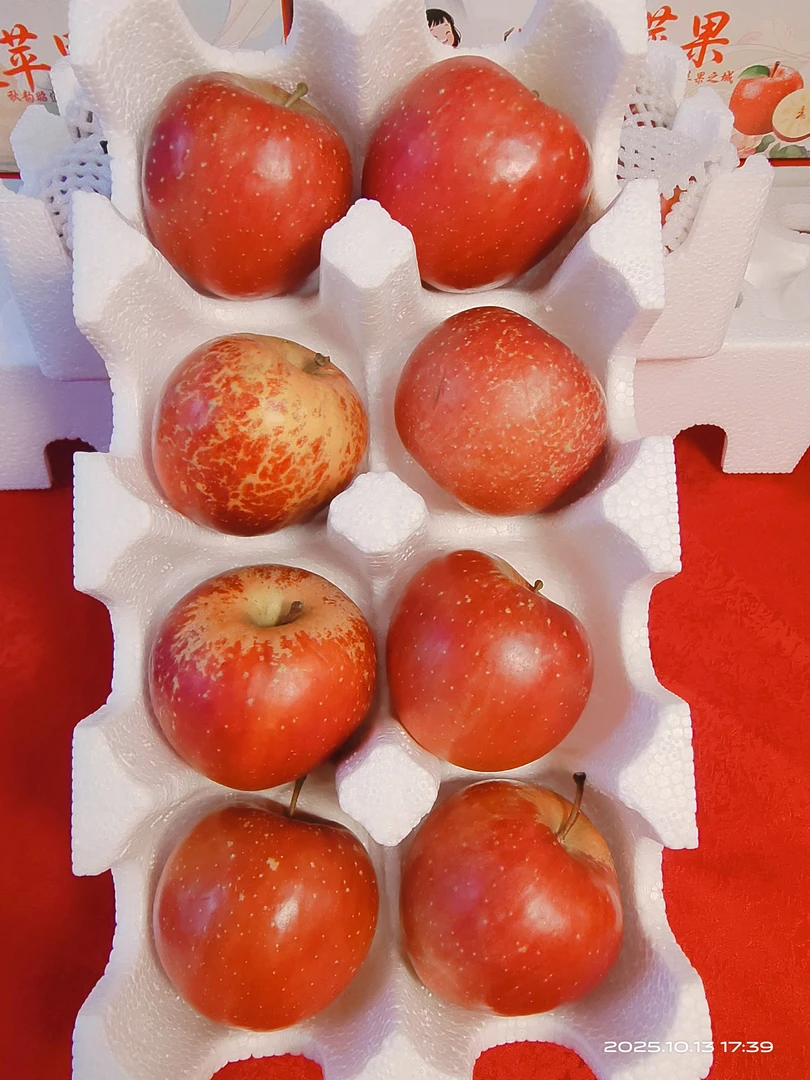 正宗云南昭通丑苹果(红富士)新鲜现摘脆甜多汁水果