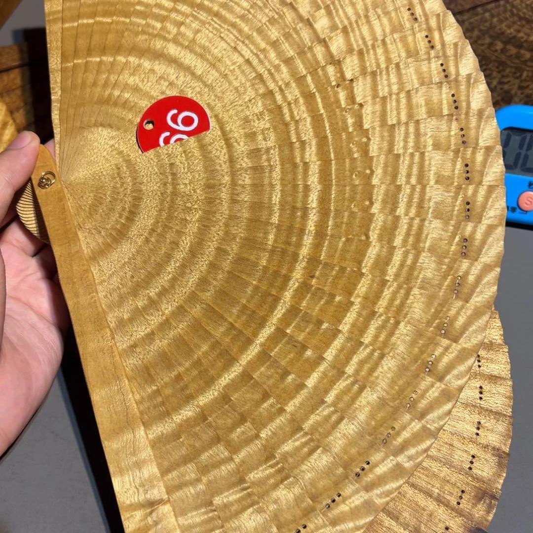 金丝楠金丝楠小叶桢楠21cm