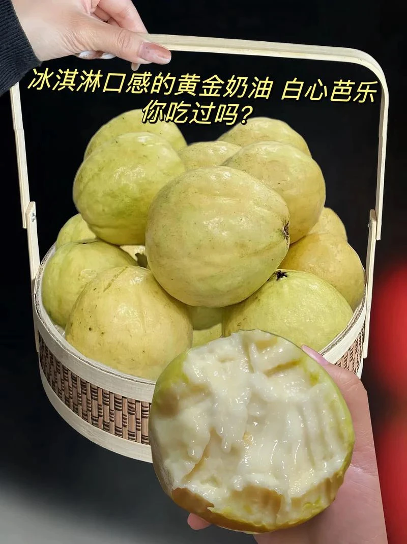 正宗广东白心奶油芭乐大果番石榴皮薄多汁新鲜水果产地现摘现发