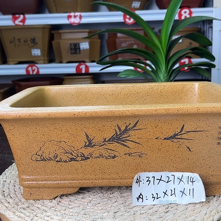 紫砂花盆蛇年大吉