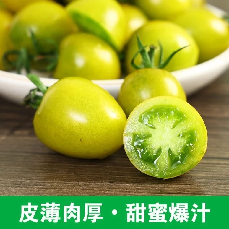 青口蜜青口蜜绿番茄2.5kg刘家峡产地直发新鲜采摘番茄同城配甘肃省