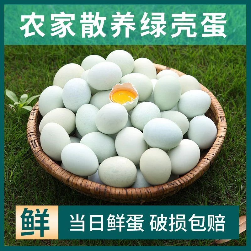 【买25枚绿壳蛋送25枚粉壳蛋】正宗农家散养鸡蛋现捡现发破损包赔