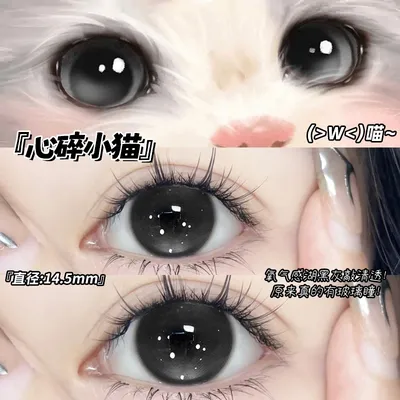 UniCent心碎小猫美瞳半年抛2片学生日常素颜14.5大直