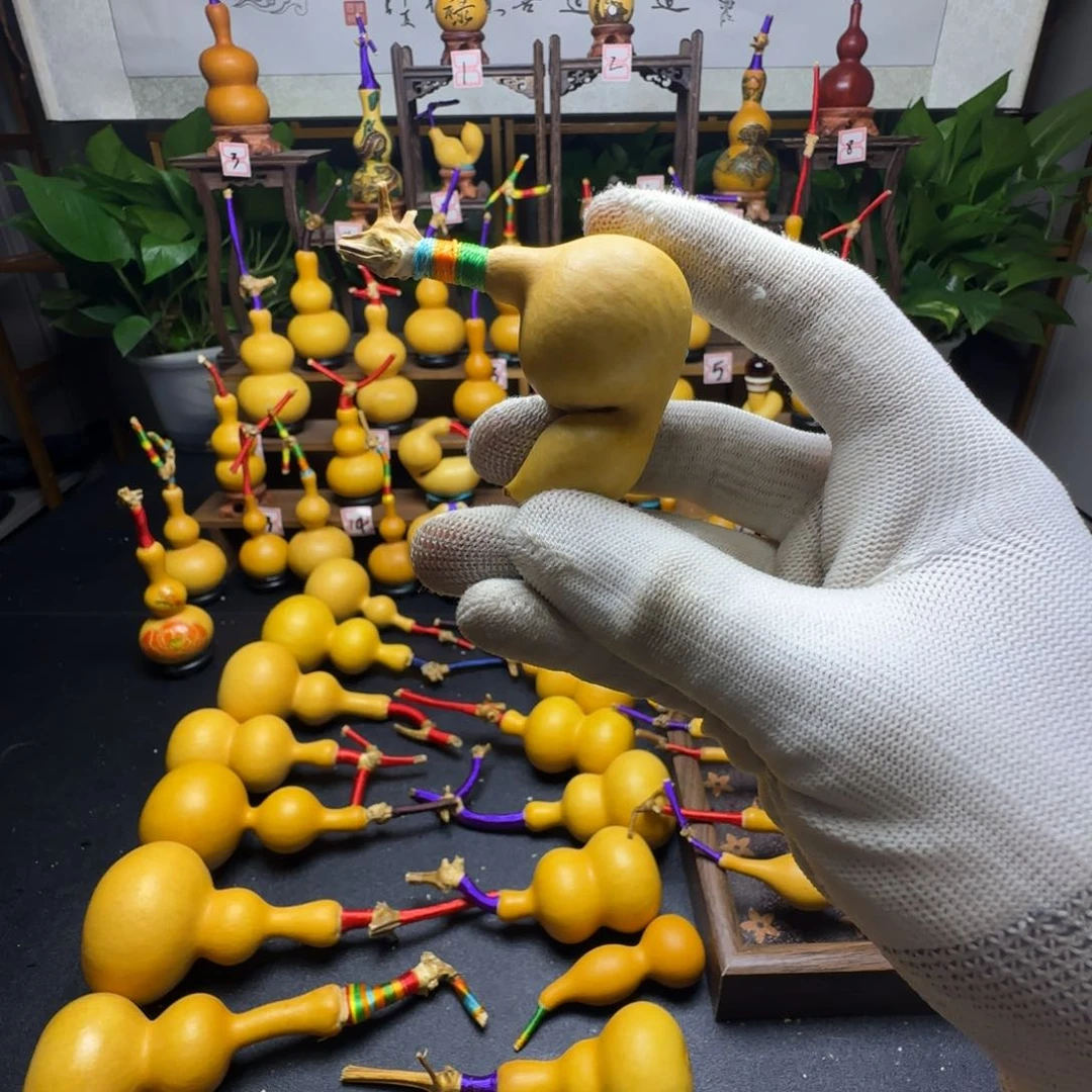 泡***泡风帆股份发的点点滴滴