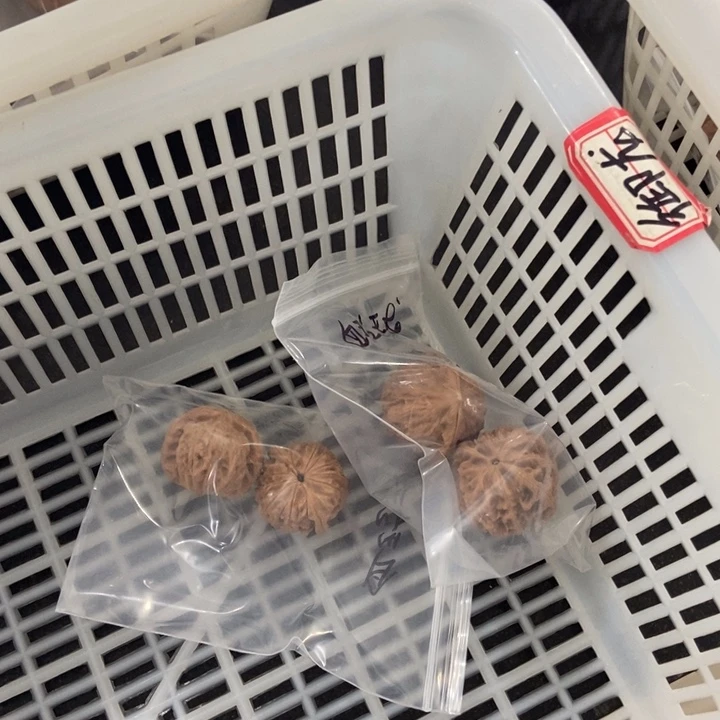 吊坠文玩核桃血玲珑瑕疵