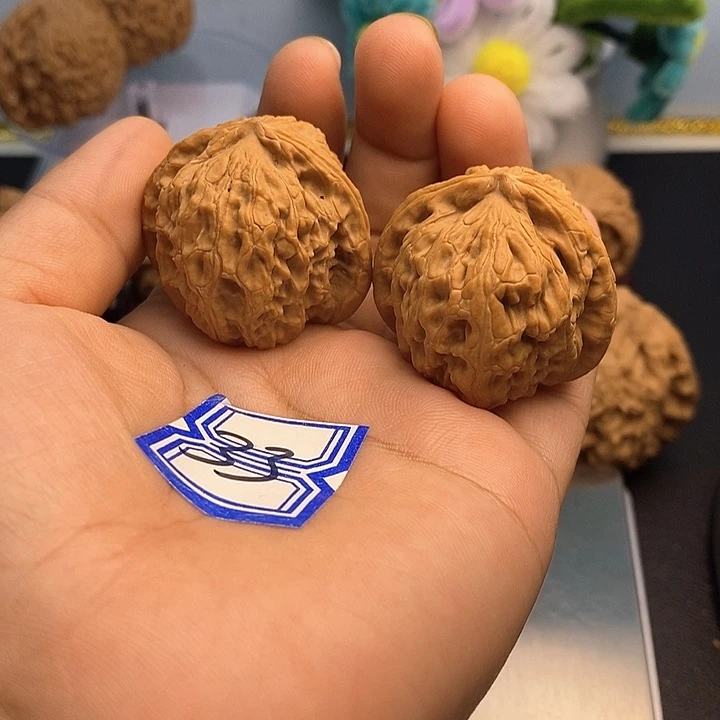 把件文玩核桃37白狮子