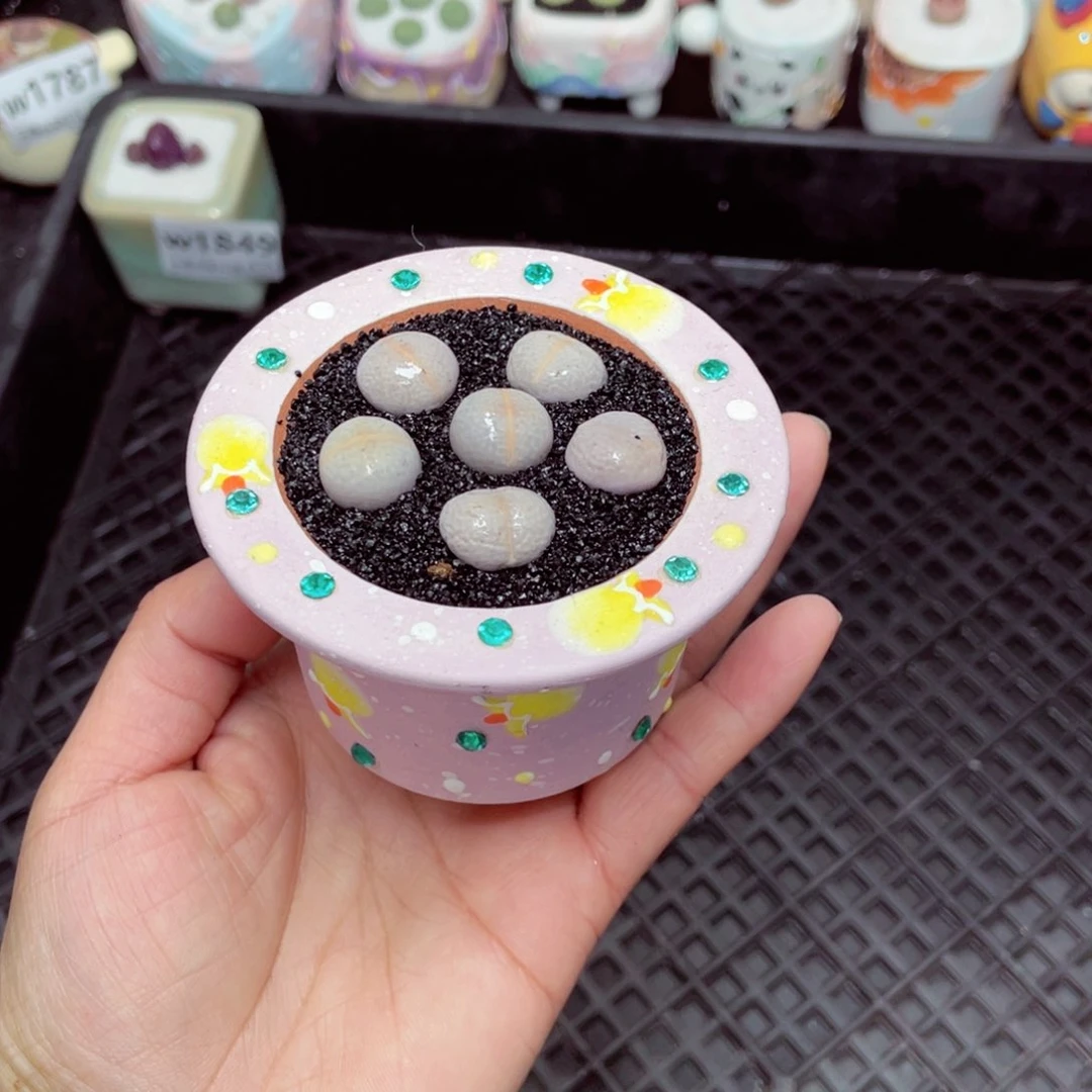 w1850 -零下地区拍保温箱-15支持寄养