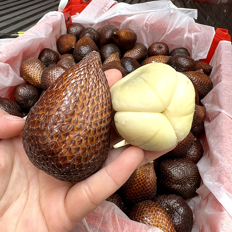 印尼进口蛇皮果2斤精选果当季新鲜热带水果