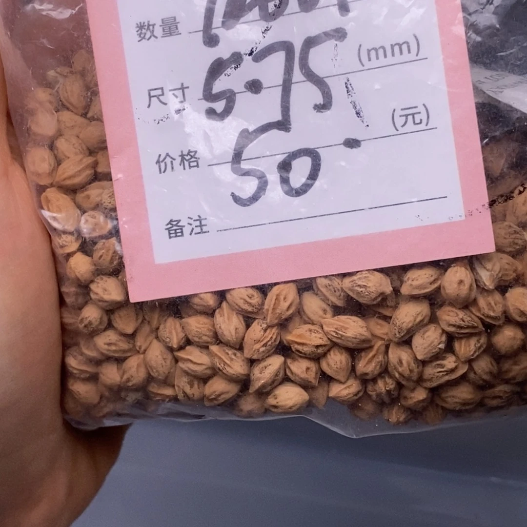 清***"柏香籽/百香籽吊坠