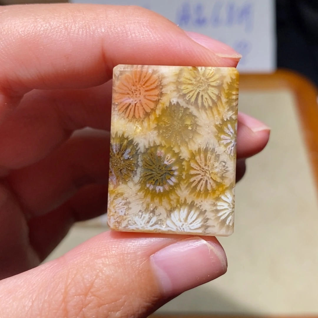 【闪购商品】硅化玉颈饰未镶嵌