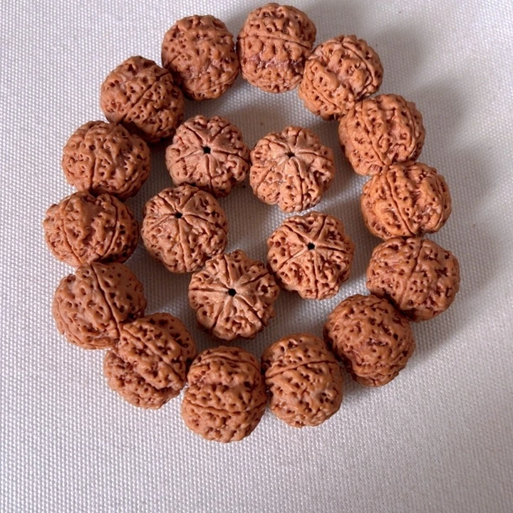 长****手串金刚菩提开播福利五瓣23蜂王