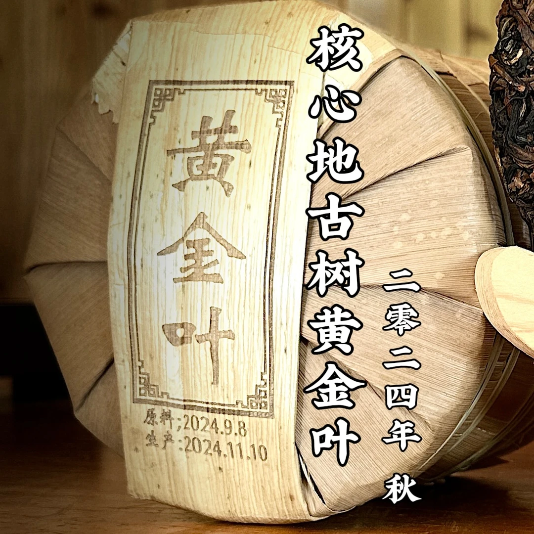 【支书优选】2024年核心地秋茶黄金叶饼茶普洱生茶（拍5提发6提）