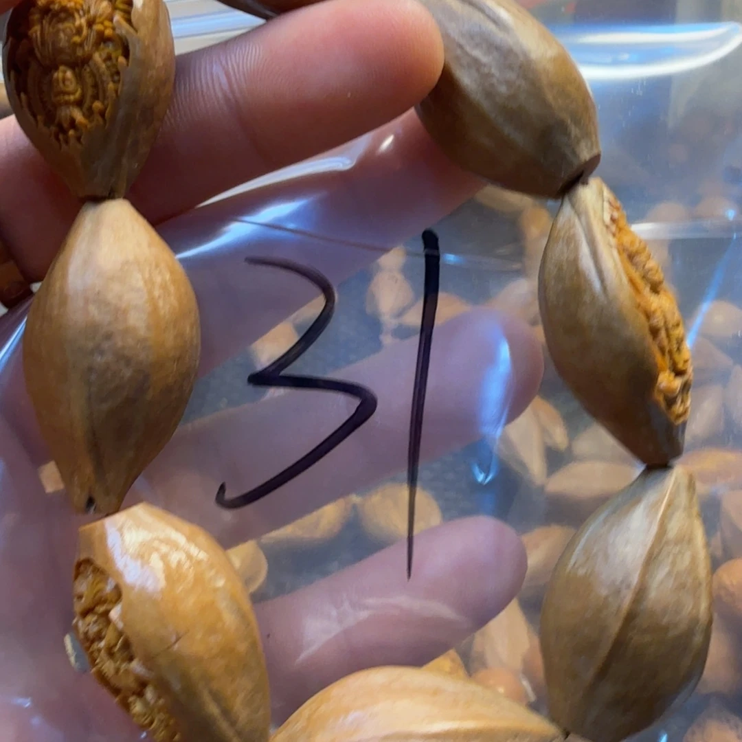 橄榄核手串/手链hh