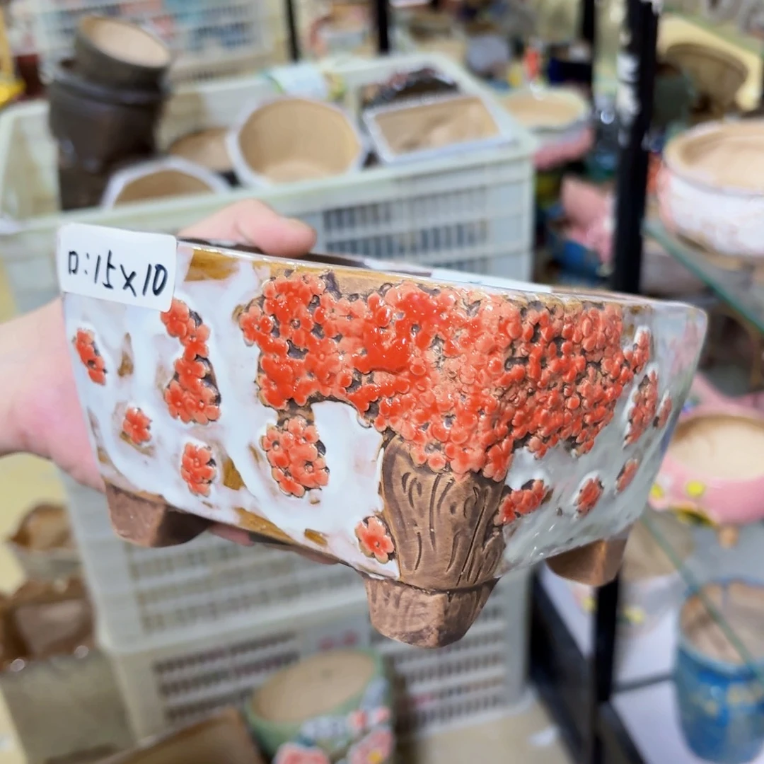 除偏远拍满20包邮发货