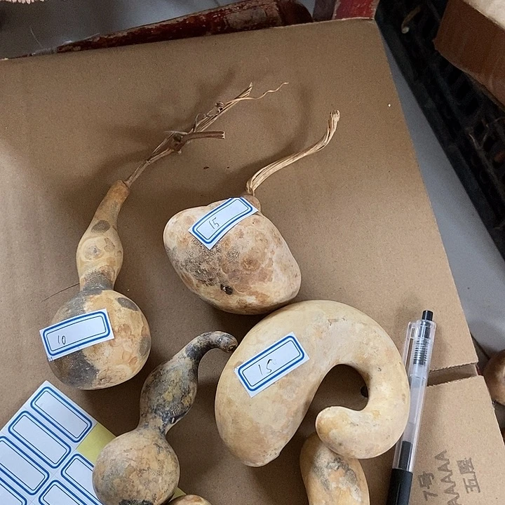 x hlh f c k l h f d g