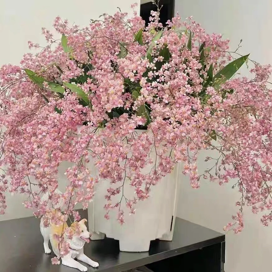 梦香兰光宗粉室内绿植盆栽兰花苗观花植物适合客厅阳台养护