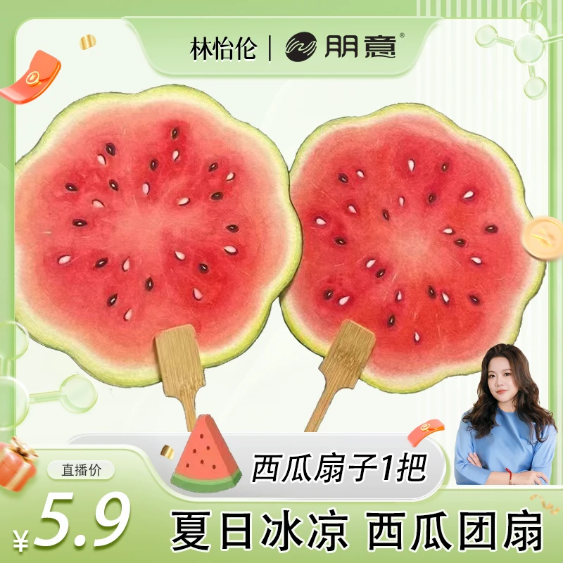 创意拍照手绘风西瓜团扇夏日清凉甜甜扇子送闺蜜礼物暖场道具扇子