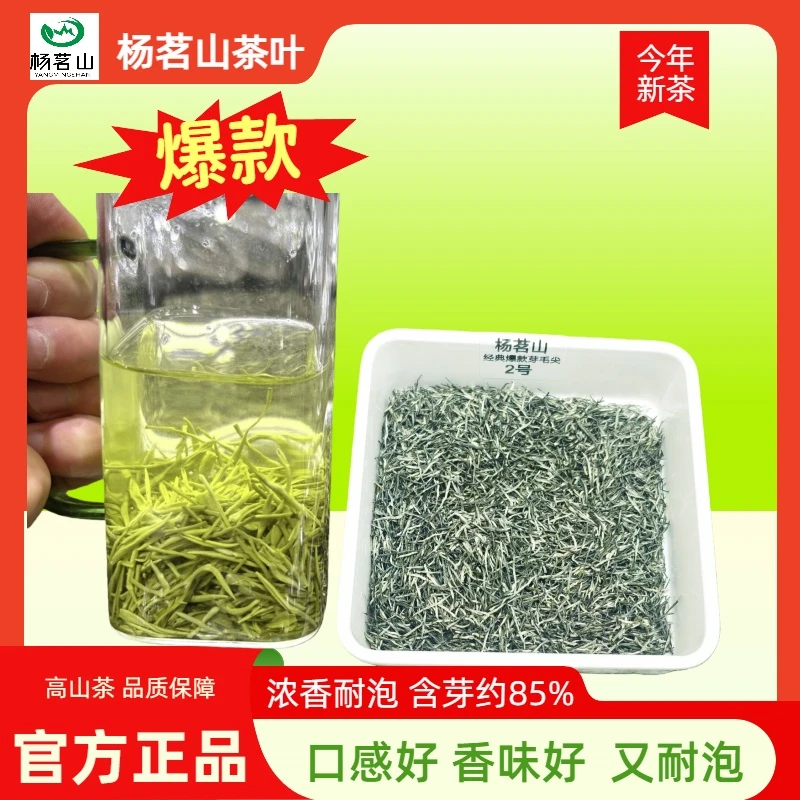 杨茗山2025新茶宜昌毛尖高山绿茶嫩芽浓香耐泡高山茶叶栗香味