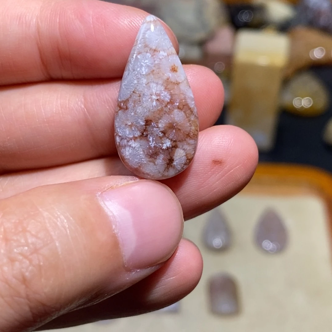 【闪购商品】硅化玉珊瑚玉未镶嵌