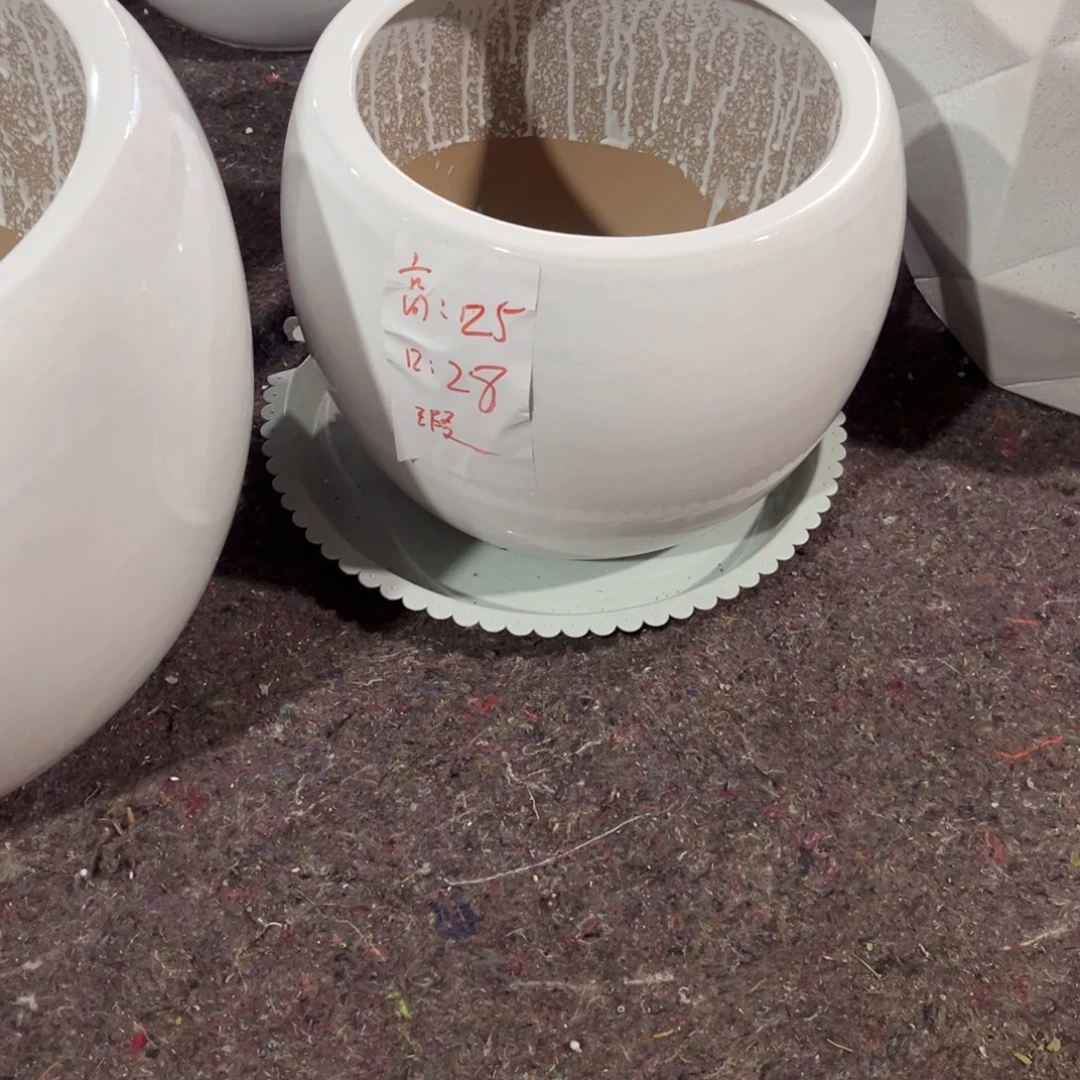 白色小球球一个花盆