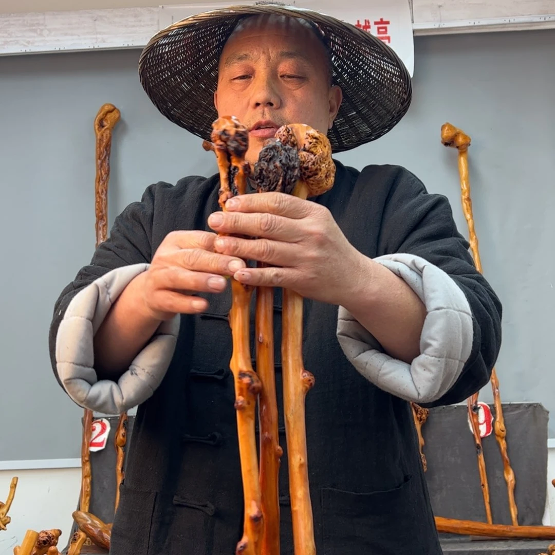 黑果木其他黑果木648