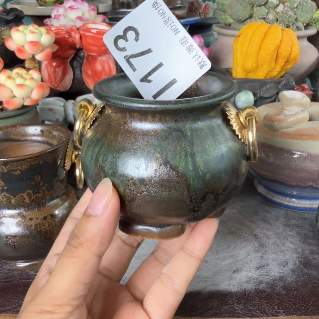 重庆小燕子欢迎大家173