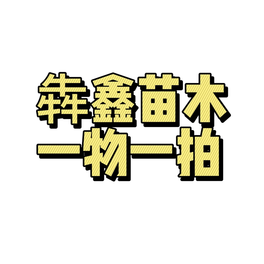 犇鑫苗木果树一物一拍盆栽地栽南北方种植