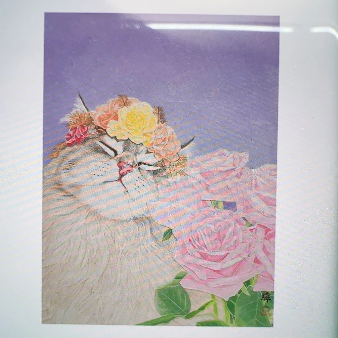 国画忙**人（g91748）花鸟 书画