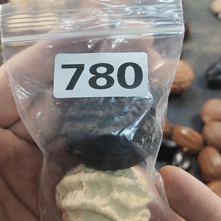 文玩核桃吊坠小*文玩核桃