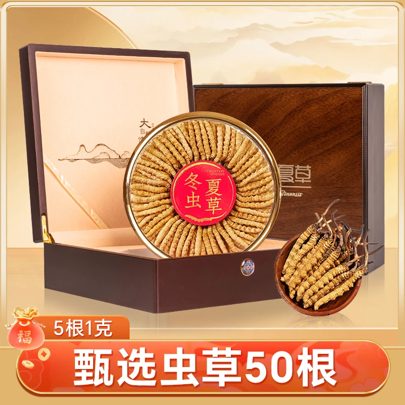 【50根虫草福利】冬蟲夏草 高品质新干虫草礼盒