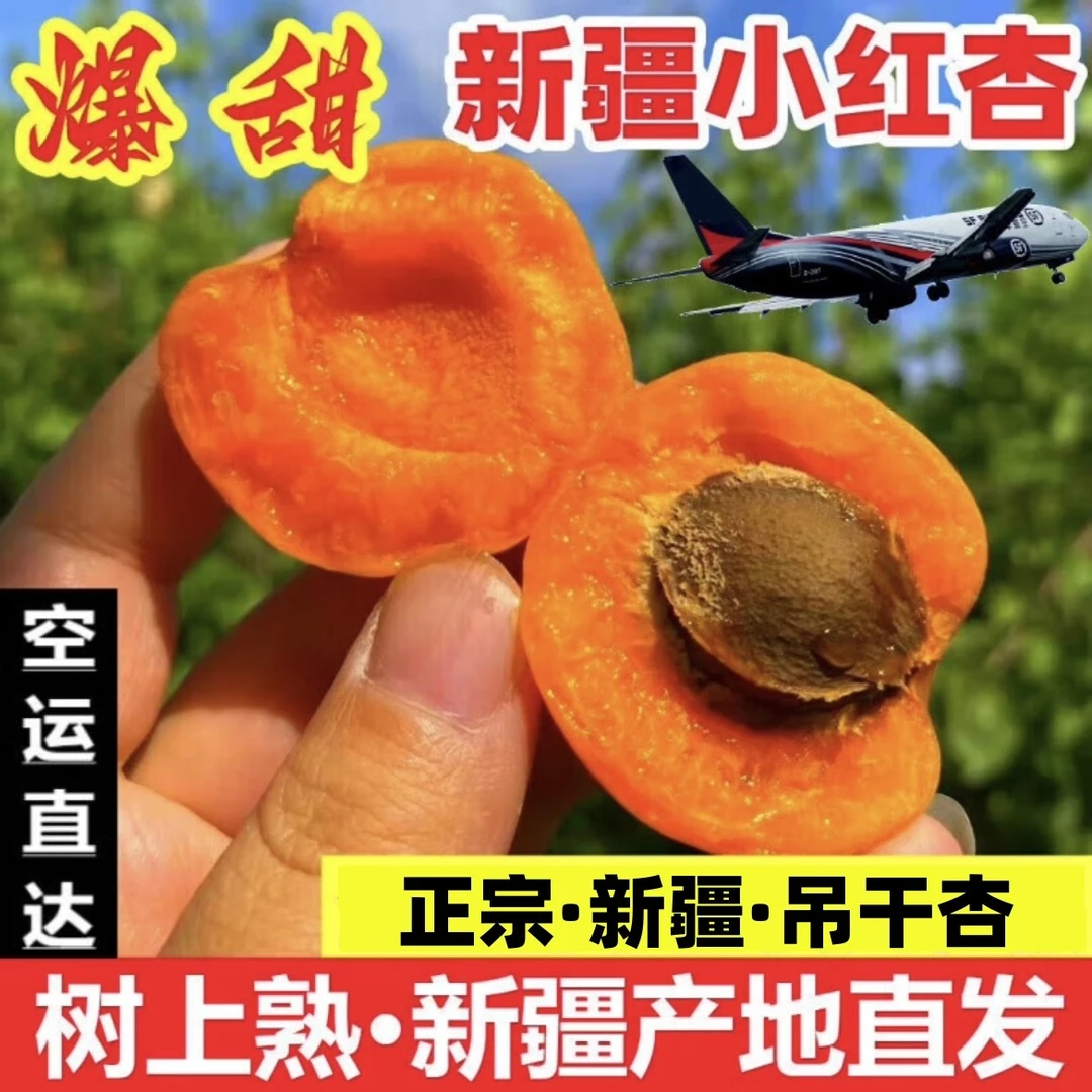 【超值】新疆小红杏2-4斤装吊干杏顺丰包邮纯甜两仓发货