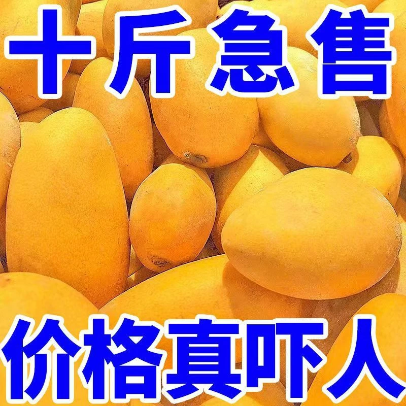 【正宗】海南小台农当季新鲜水果芒果当季台农芒小芒果现摘整箱包邮