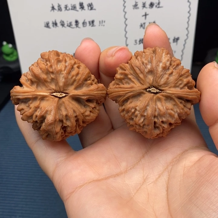 45尺寸全品南疆 全品