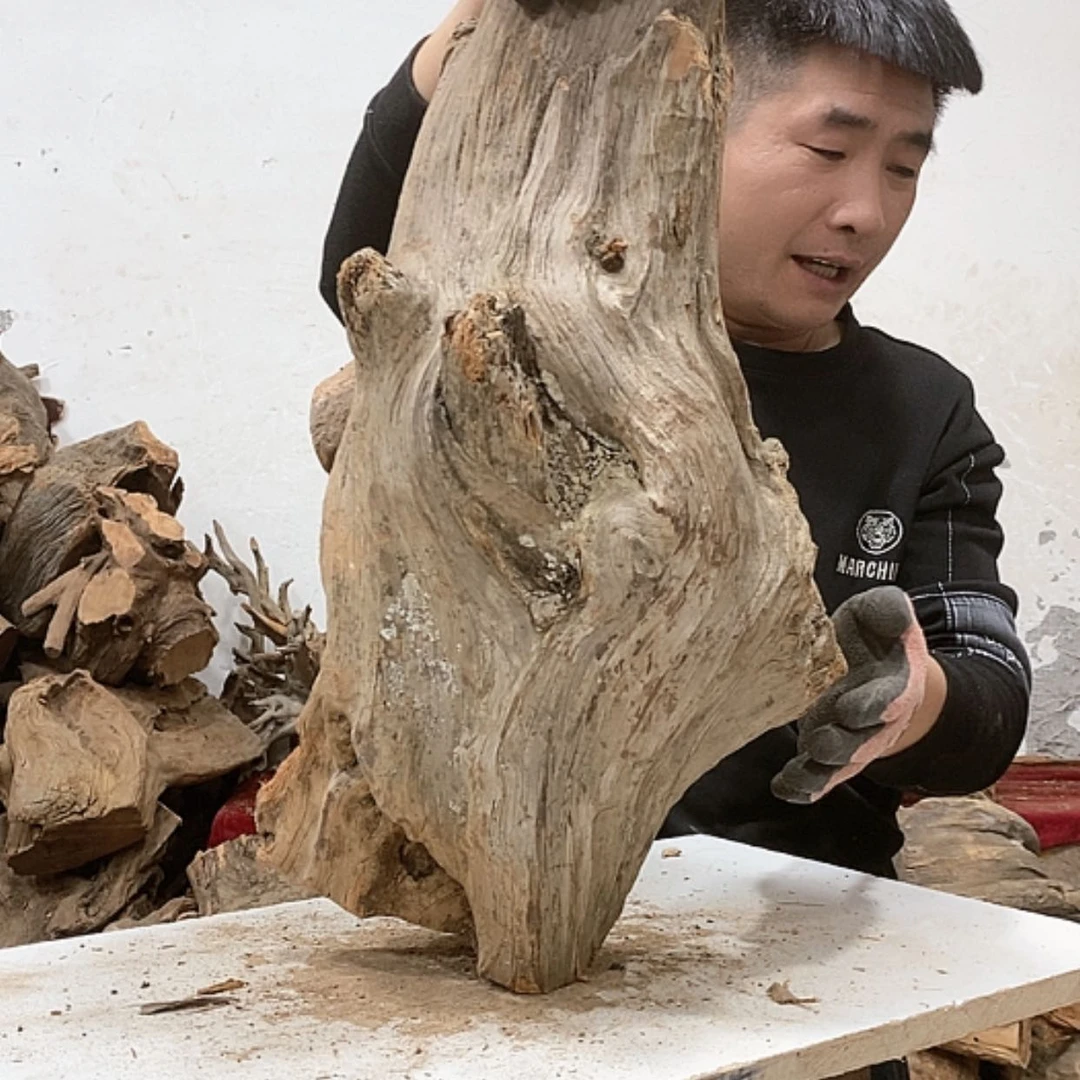 【闪购商品】柏木品****）我们都是好孩子