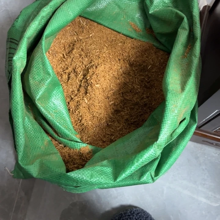 线香太行崖柏红骨黑油258克