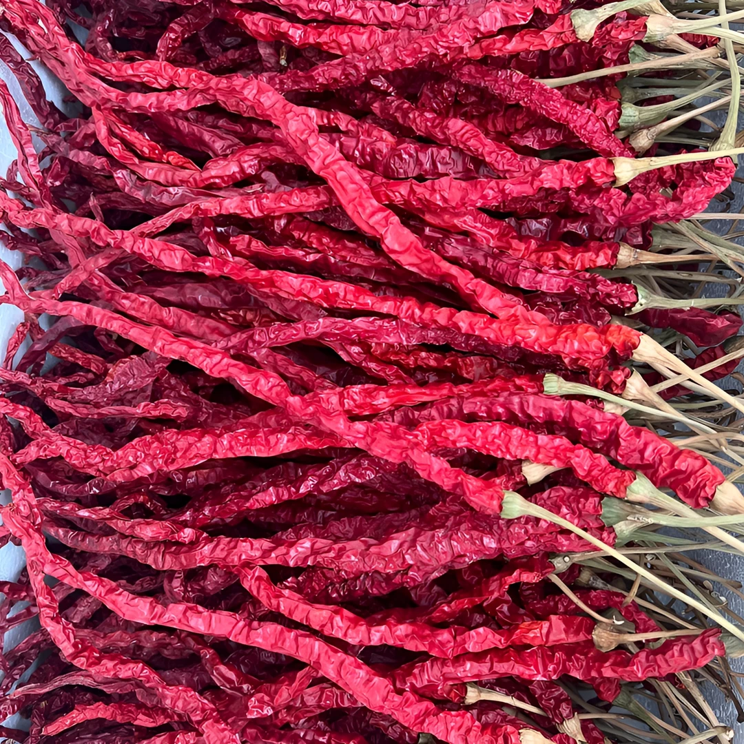 贵州毕节大方皱椒鸡爪辣皮薄肉厚干辣椒