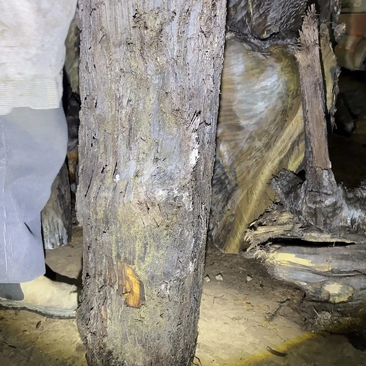 天***5金丝楠金丝楠阴沉木