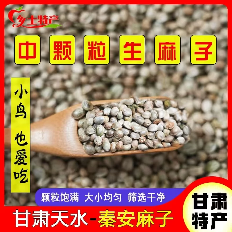 25年中颗粒生麻子 小鸟爱吃  皮薄粒小 秦安麻子  需几斤自由选购