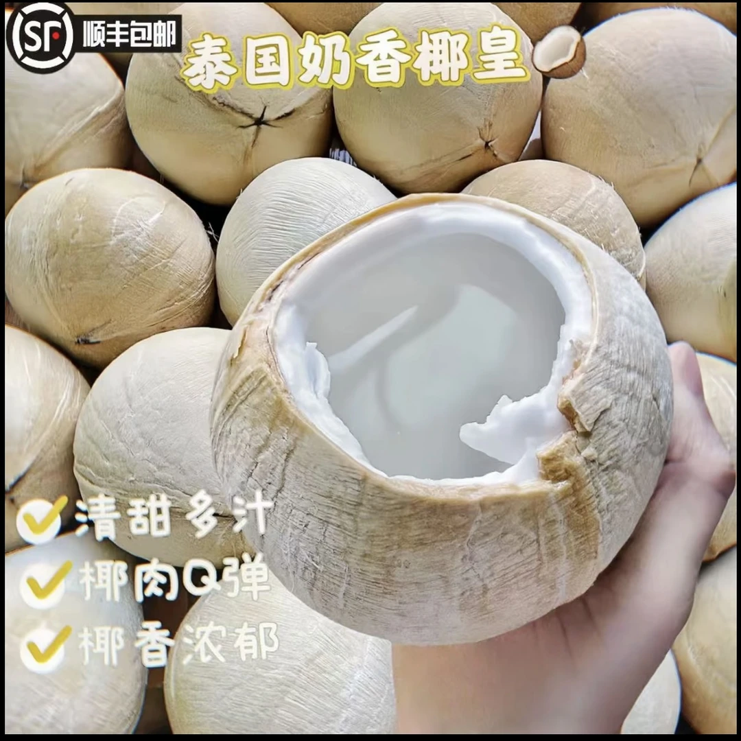 【顺丰包邮】泰国奶香椰皇精选老树椰皇奶香浓郁孕妇水果