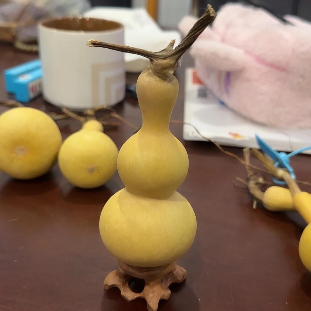 青皮不包成青皮不包成