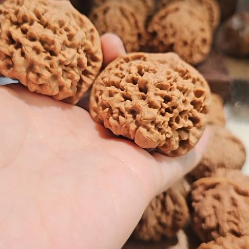 文玩核桃吊坠49龙鼎管帽