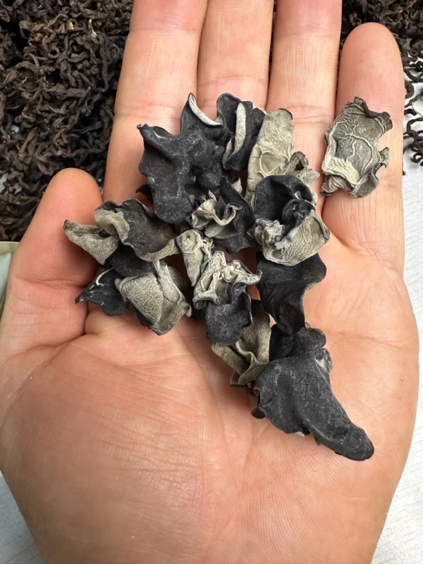 柞木椴树木耳自然晾晒