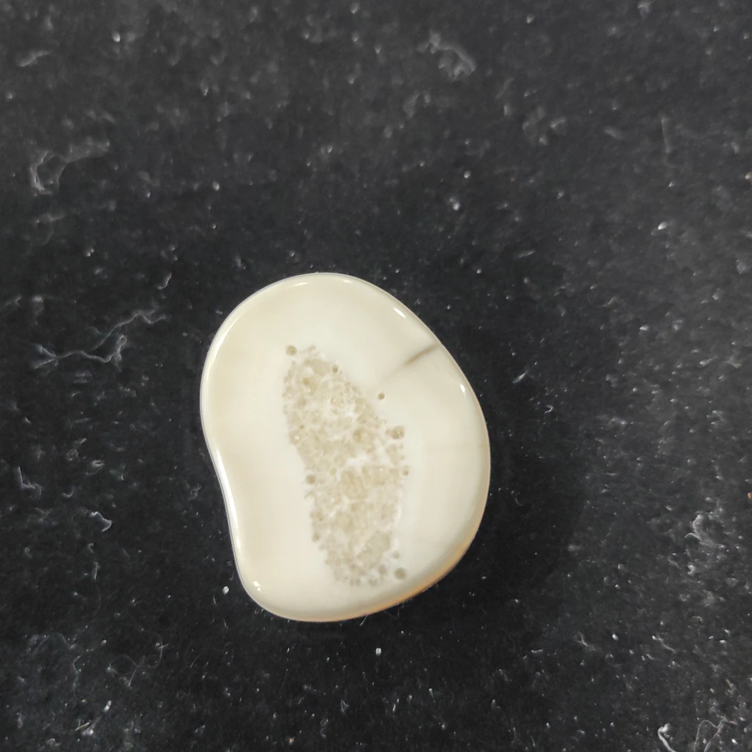 猛犸猛犸虬饼子WT649