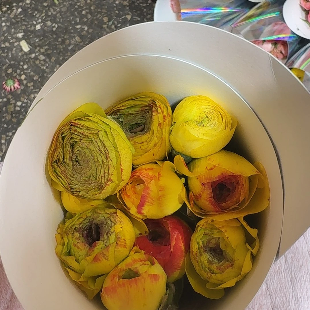 加购黄桃花边洋牡丹10支，满两件正价可拍