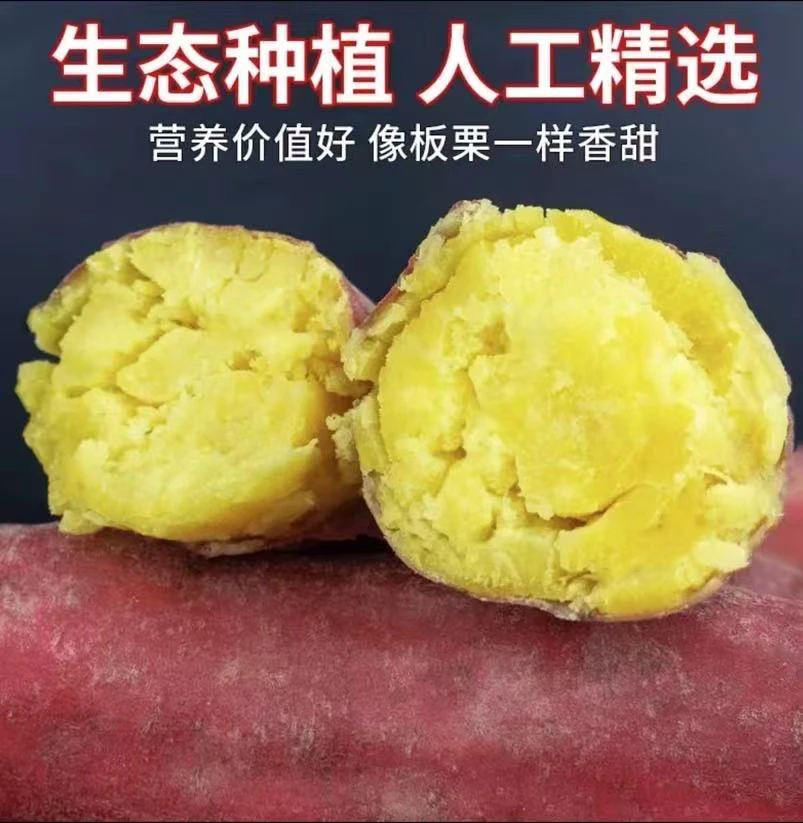 【买三斤送两斤】新鲜现挖板栗红薯粉糯香甜带箱5斤