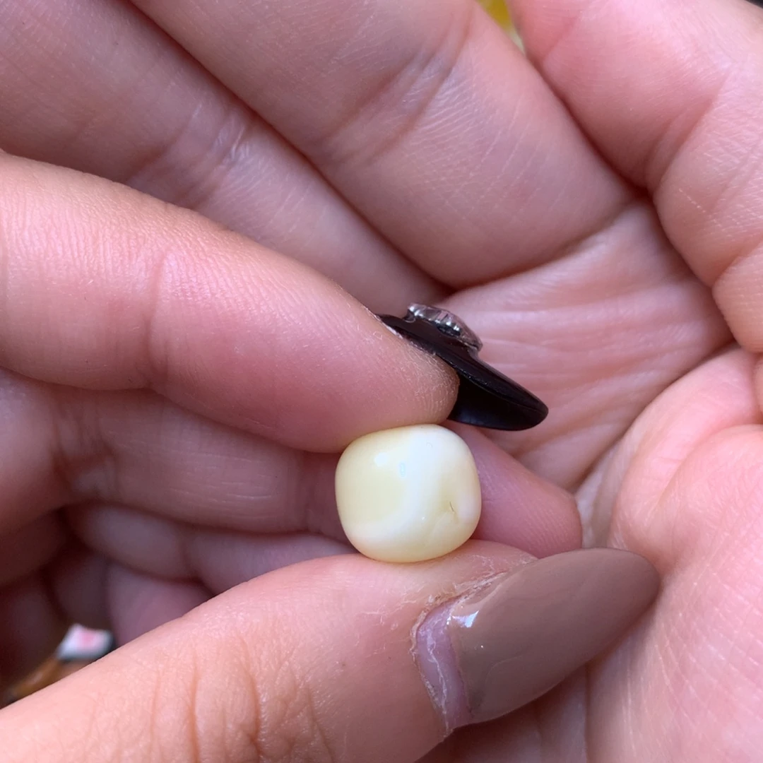 琥珀未镶嵌裸石蜜蜡11